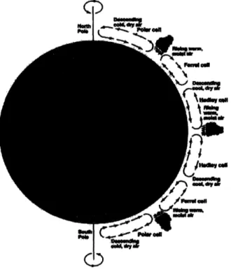 Figure  3.1:  Global wind patterns.  6