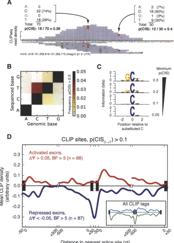 Figure  3-3:  An  RNA  map  of  MBNL  activity  at  nucleotide  resolution.