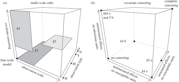 Figure 1. (a) Cube representing the space partly explored in this paper. The ﬁne-scale model is at the origin (units with inﬁnitesimal areas, presence/absence for the disease measure, no covariate censoring)