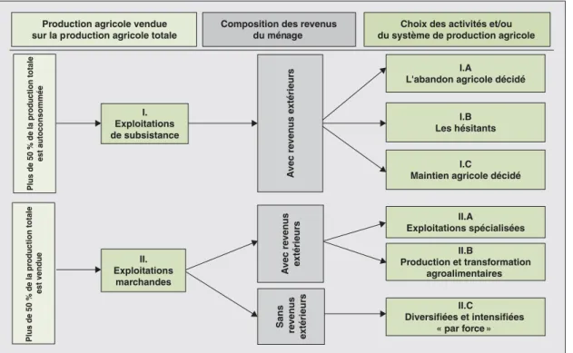 Figure 2 . Typologie des exploitations agricoles enquêtées (source : nos enquêtes 1997-1999).