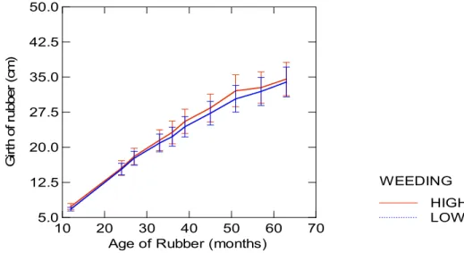 Fig. 9   Effects of levels of weeding on rubber growth in RAS 1 in West Kalimantan.  