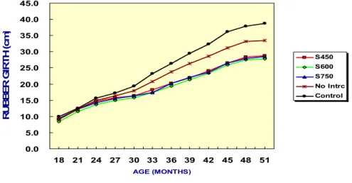 Fig. 1   Rubber growth planted at different treatments: double row vs. normal spacing and monoculture vs