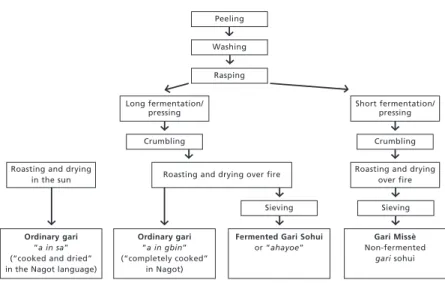 Figure 2 Different ways of processing cassava into gari