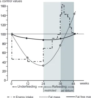 Figure 6. Pattern of changes in energy intake, body fat and fat-free mass during underfeeding and refeeding in humans (n = 12)