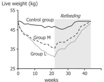 Figure 5. Long term adaptation of Barbarine ewes placed in two situations of food  restric-tion: 40% (group M) or 20% (group L) of requirements covered, then refeeding (150%