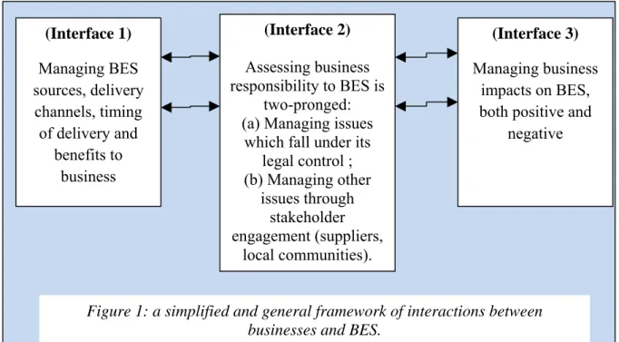 Figure 1: a simplified and general framework of interactions between  businesses and BES