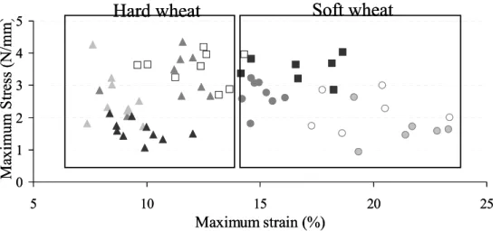 Figure 2: Maximum stress related to maximum strain values for isolated grain outer layers from six  common wheat cultivars (о soft , ∆ hard type) or from near-isogenic lines (   soft,    hard type)  submitted to traction tests under controlled temperatur