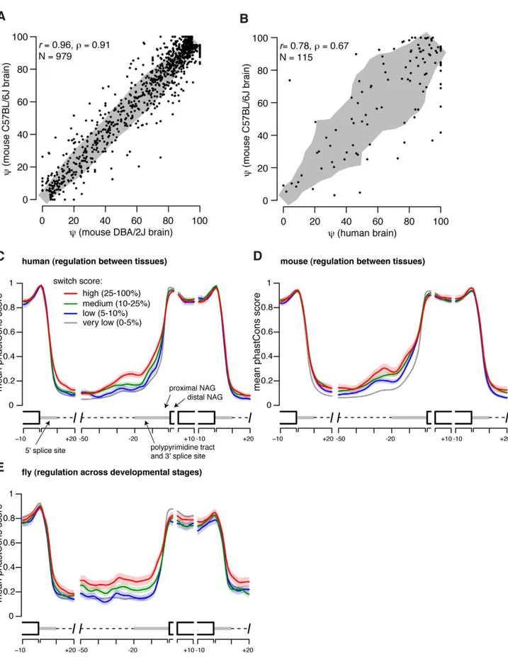 Figure 2. Increased sequence conservation upstream of tissue- and developmentally-regulated NAGNAGs