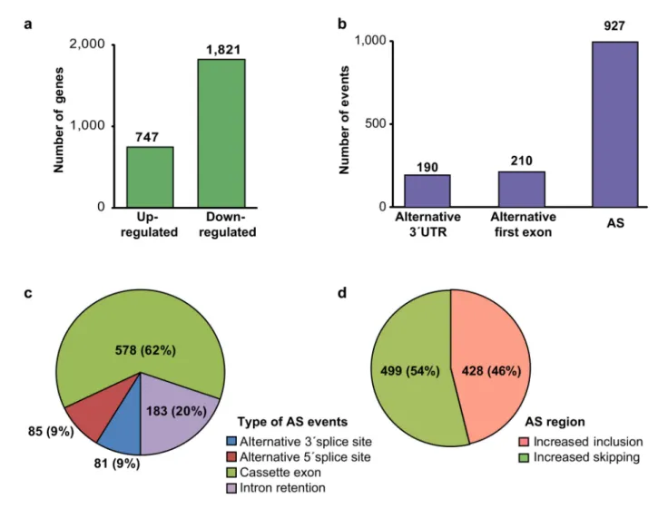 Figure 1. Extensive gene expression and RNA processing changes occur during heart development