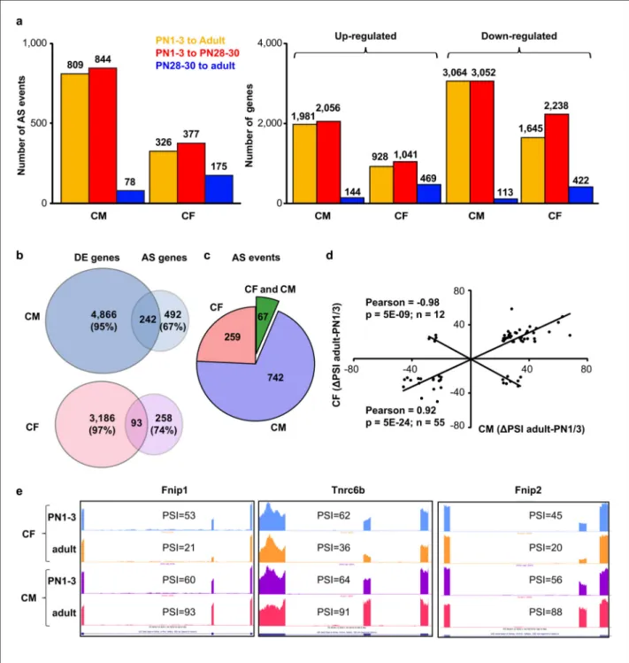 Figure 5. Postnatal gene expression and AS transitions in CM and CF
