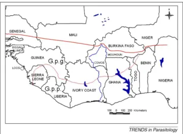 Figure 1. Geographical distribution of Glossina palpalis s.l. in West Africa. The unbroken red line shows the estimated G