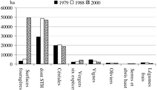 Figure  II.10.  Evolution  des  surfaces  totales  des  différentes  cultures  dans  la  plaine  de  Crau  entre 1979 et 2000