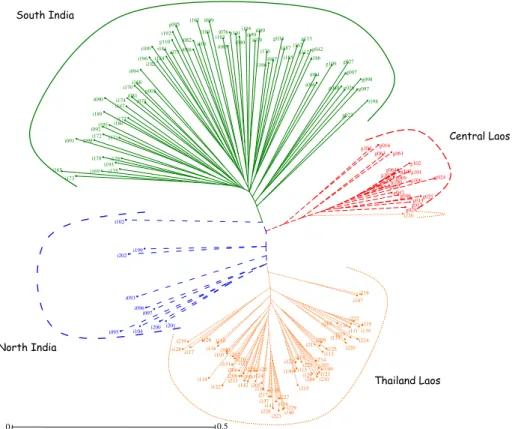 Fig. 2 Neighbor-joining dendrogram based on simple matching method for Tectona grandis for 166 individual trees