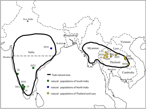 Fig. 1 The natural distribution of Tectona grandis L.f. and location of the 17 provenances studied with SSR markers