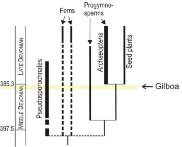 Figure 2 Trees in time. Two contrasting ways of making trees, evident in the fossils of the  Gilboa tree and Archaeopteris, evolved in the Devonian but are still successful today