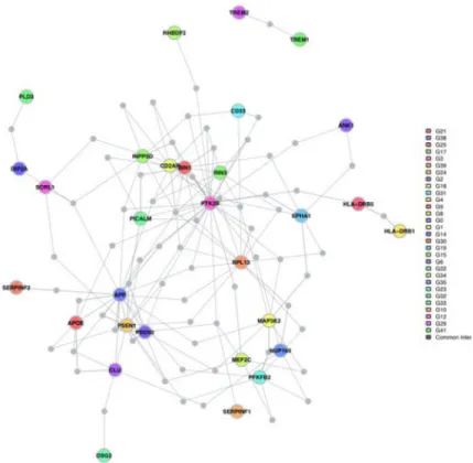 Figure 4. Genes identified in our DNA methylation screen connect to a network of known AD  susceptibility genes