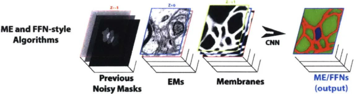 Figure  3-4:  Information  flow  in  sparse  reconstruction  approaches  like  MaskExtend and  Flood-Filling  Networks.