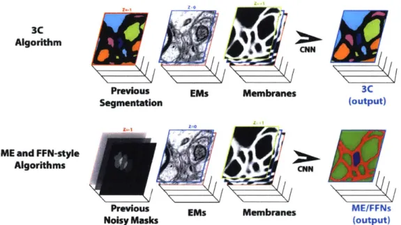 Figure 4-1:  Information  flow in the Cross Classification  Clustering algorithm  vs sparse reconstruction  approaches  like  MaskExtend  and  Flood-Filling  Networks  [25,  141.