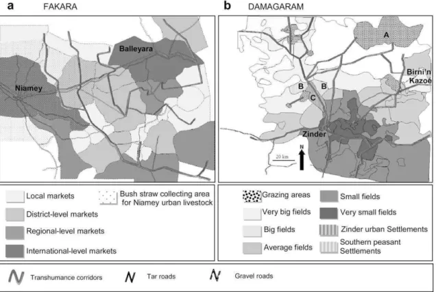 Fig. 6. PBRM results on human occupancy dynamics and organization in the two sites.