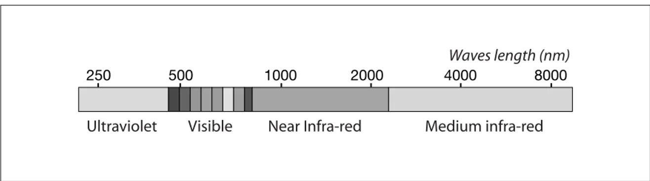Figure 1: The different zones of the light spectrum 