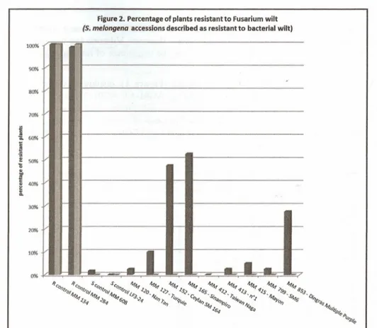 Figure 2. Percentage of plants resistant to Fusarium wilt (5. melongena accessions described as resistant to bacterial wilt)