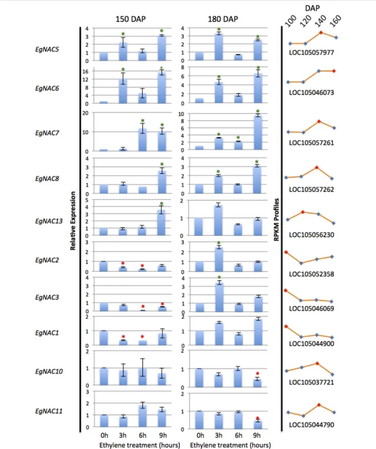 FIGURE 5 | qPCR analysis of NAC transcripts expressed in the mesocarp and induction in response to ethylene treatments