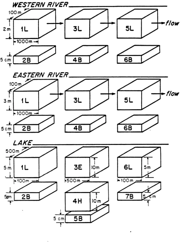 Figure  3.1  Compartments  in  representative  environments. WESTERN  RIVER 1oo00  /I 2m _i 5  cm T EASTERN  RIVER flow [  4 LAKE