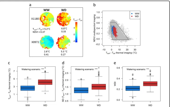 Fig. 4 Impact of water de ﬁ cit on the water de ﬁ cit index (WDI) and the surface-to-air temperature difference (T surf – T air )