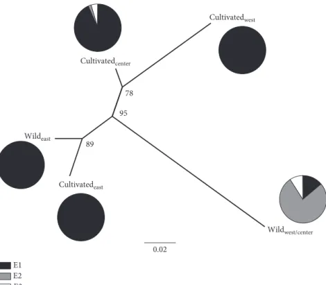 Figure 3: Unrooted neighbor-joining dendrogram based on the genetic diﬀerentiation index (F ST ), showing relationships among the ﬁve genetic groups as identiﬁed by DAPC and the proportion of the three maternal lineages (E1, E2, and E3) within each group.