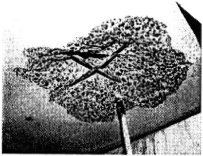 Figure 5-13:  Exposed  rebar resulting  from concrete  spalling  [7]
