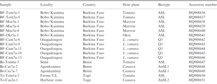 Fig. 2. COI-gene-based phylogeny of Bemisia tabaci.