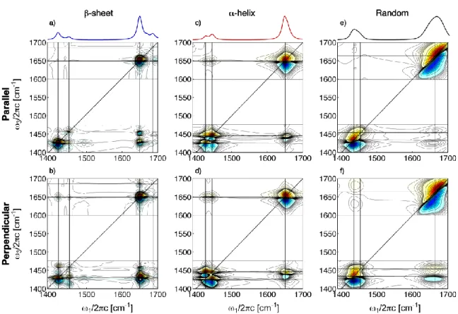 Figure 4 – Calculated 2D IR spectra 