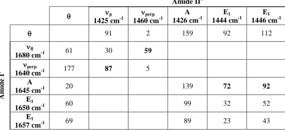 Table  2.  Calculated  orientation  of  the  amide  I’  and  II’  transition  dipole  moments  for  idealized secondary structures