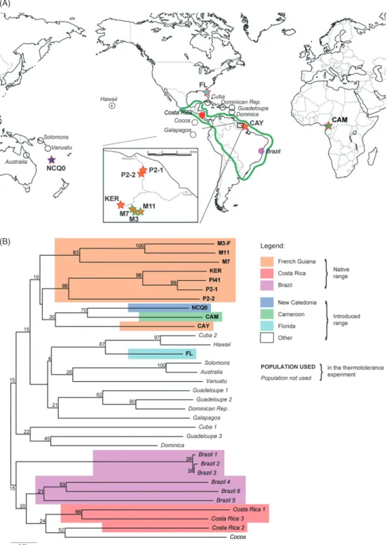 Figure 1 Sampled native and introduced populations of W. auropunctata and their genetic relationships
