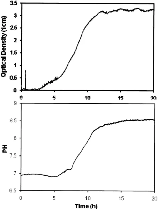 Figure  3-6.  Growth  curve  for the  culture  experiment  grown with E.  coli FB 21591.