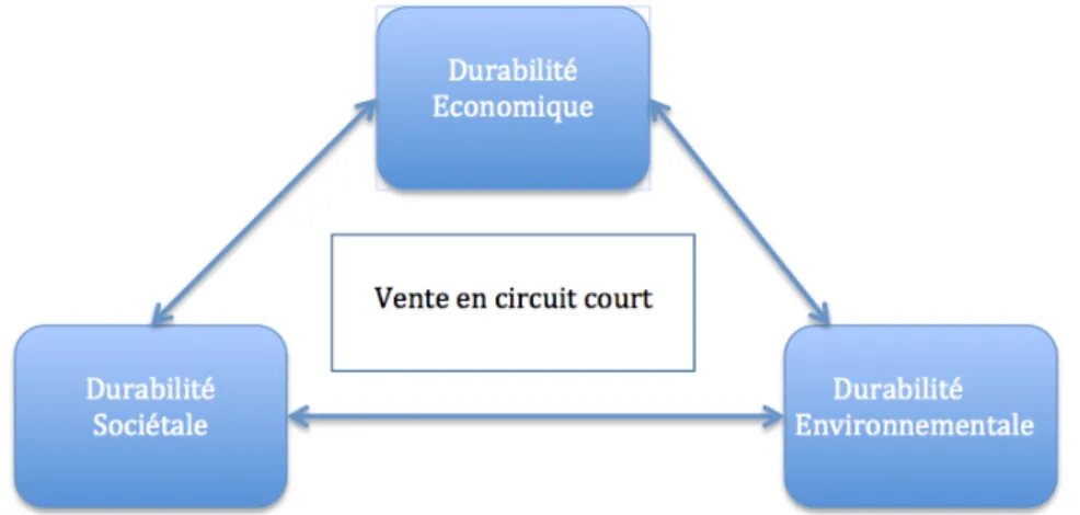 Figure 1. Circuits courts et durabilité 