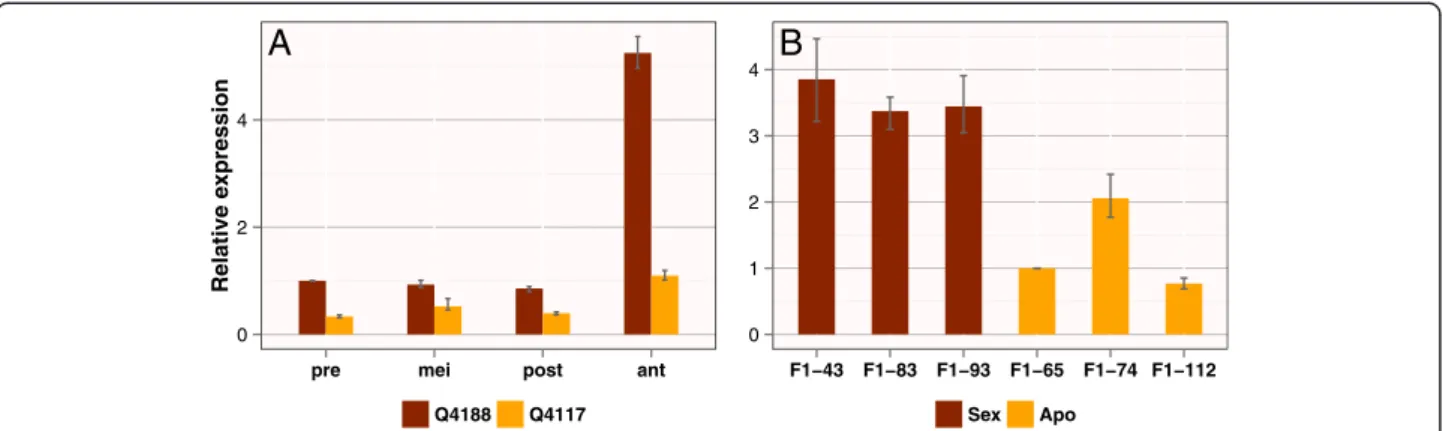 Figure 2 Quantitative real-time PCR analysis of PnTgs1-like transcripts in sexual and apomictic Paspalum notatum plants