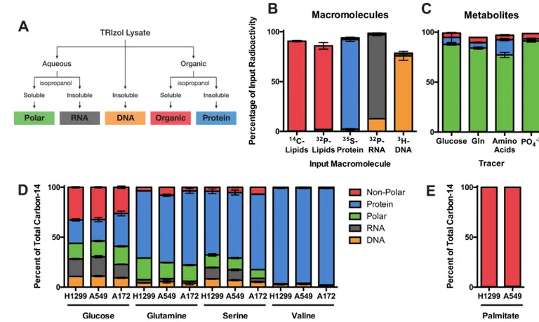 Figure 5. Glucose, glutamine, and other amino acids have diverse biosynthetic fates (A) Scheme used to fractionate cells into different macromolecular classes based on  differential solubility is shown