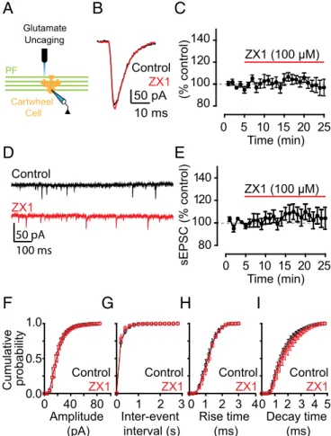 Fig. 2. Inhibition of AMPAR EPSCs by synaptic zinc is dependent on evoked, action potential-driven release of zinc from presynaptic terminals