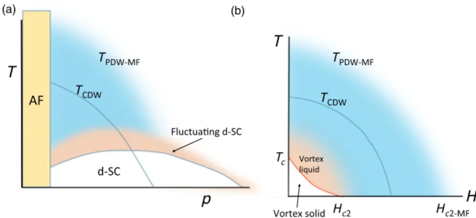 FIG. 7. Proposed phase diagram. (a) T vs doping concentration p . T PDW-MF is a crossover temperature where the pairing amplitude is established