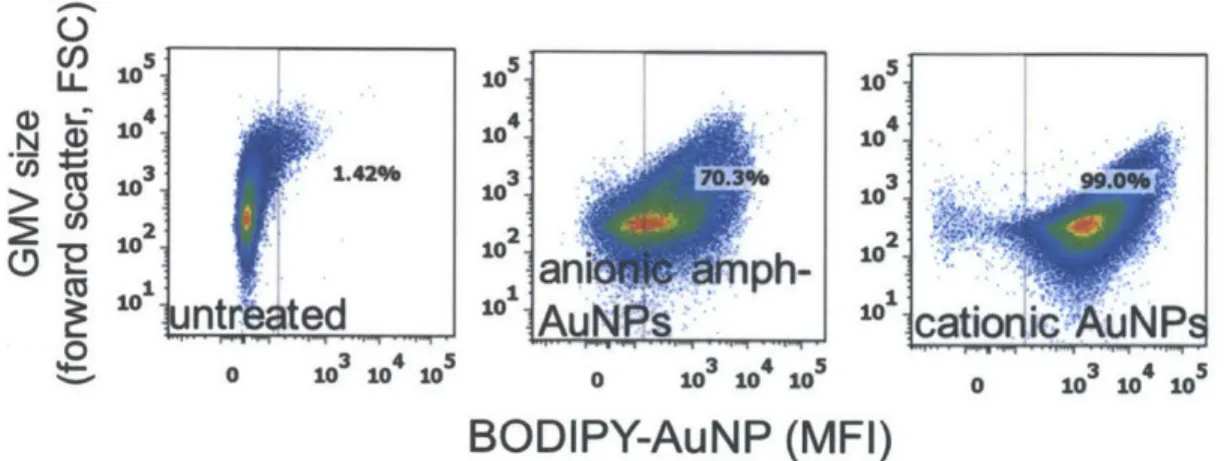 Figure  2.7.  GMV  fluorescence  quantification  by flow  cytometry after treating  with various  AuNPs.