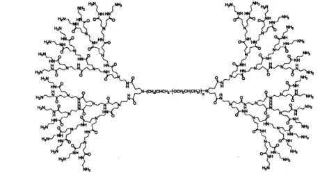 Figure 3-2.  Chemical  structure of generation  4.0 PPO-PAMAM.