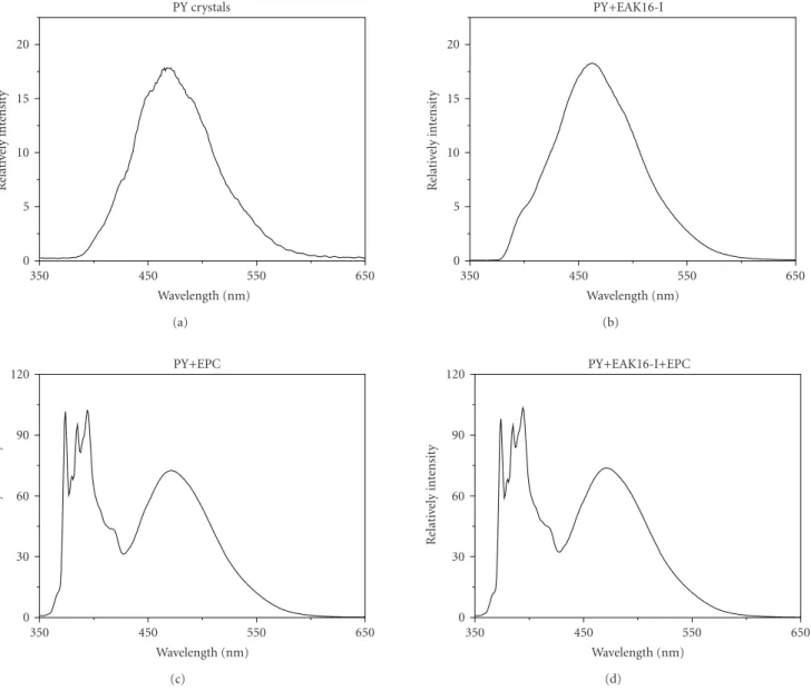 Figure 2: Steady-state fluorescence emission spectra of (a) solid pyrene crystals, (b) E05P10 solution ([PY] = 4.94 × 10 −3 M, [EAK16-I] = 3.02 × 10 −4 M), (c) pyrene in EPC vesicles ([PY] = 6.53 × 10 −5 M), and (d) E05P10 solution mixed with EPC vesicles 