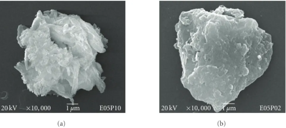 Figure 7: Scanning electron micrographs of the pyrene crystals of (a) the E05P10 solution and (b) the E05P02 solution.