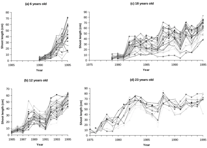 Figure 1. Length of successive annual shoots along Corsican pine trunks: (a) 6-year-old trees, (b) 12-year-old trees, (c) 18-year-old trees, (d) 23-year-old trees.