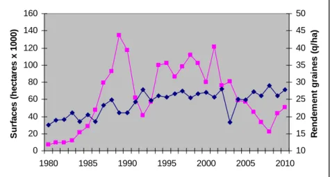 Figure 1 : Evolution des surfaces de soja en France (trait rose) et des rendements moyens (trait bleu) au cours  de la période 1980-2010