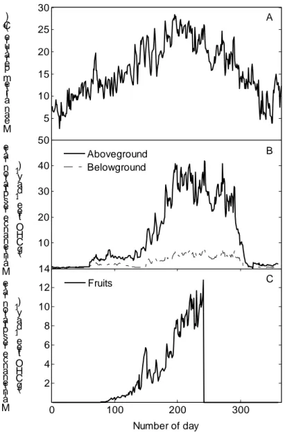 Fig  6.  Seasonal  patterns  of  daily  air  temperature  (A),  aboveground  and  belowground  maintenance  respiration  (B),  and  total  fruit  maintenance  respiration  (C)  during  the  third  year  of  growth  of  peach  trees  trained  to  a  perpend