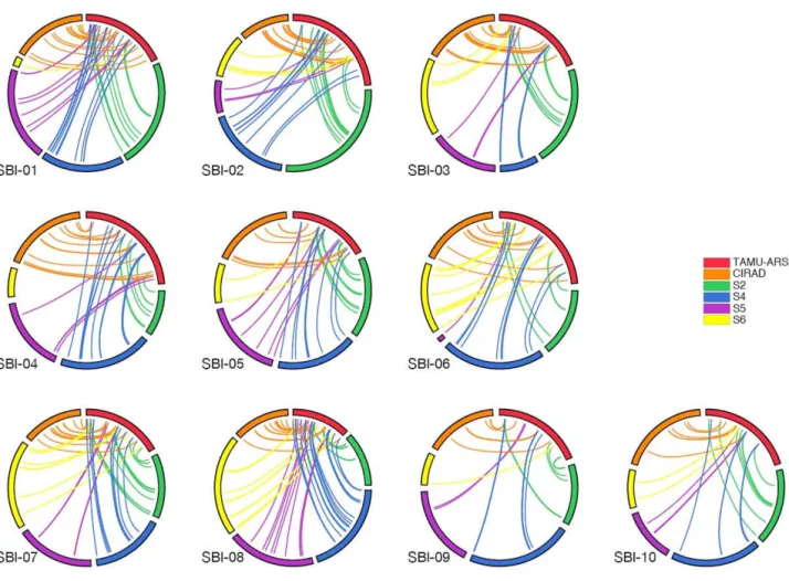 Table 3: The difference ratio of genetic distance in the common marker intervals between the TAMU-ARS map and the five other  component maps