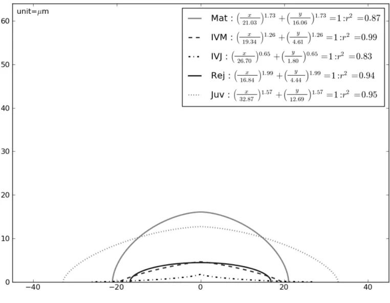 Fig. 9.  Median estimated superellipse (sample size N = 30) for the five origins of SAM assessed, with  the associated equations and coefficients of determination (r 2 )