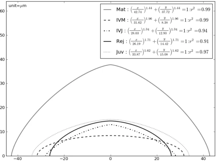 Fig. 10. Median estimated superellipse (sample size: 9  ≤  N  ≤  21) for the five origins of SAM assessed  in C1 stage; with the associated equations and coefficients of determination (r 2 )